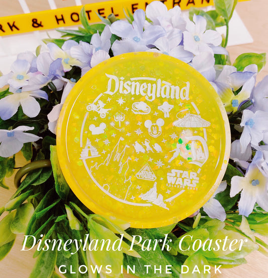 Disneyland Park Orange Coaster
